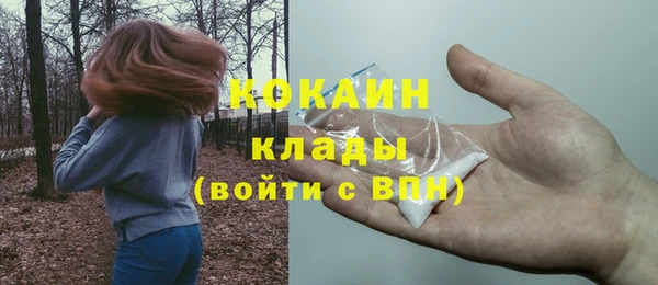 круглые Няндома
